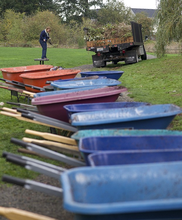 A volunteer steps up on a bench next to a line of wheelbarrows to take a photo at Morrill Meadows Park during Green Kent Day last Saturday. Volunteers were invited to join the Green Kent Partnership for a morning of restoration work and community camaraderie.