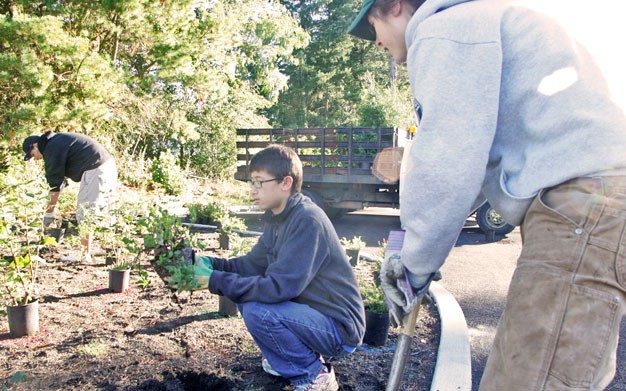 The city of Kent wants volunteers to help with planting and weeding projects at two parks in April.