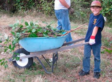 The city's Green Kent Partnership program wants more volunteers to help work at parks and open spaces.