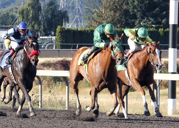 Absolutely Cool and jockey Juan Gutierrez were the winning team in the $17