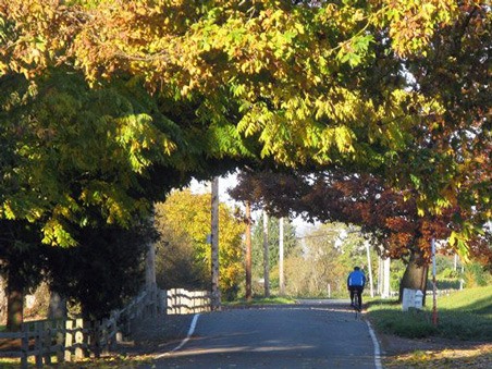 The city of Kent plans to connect the Green River Trail and Interurban Trail to make a loop trail.