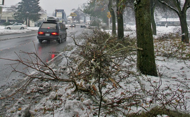 Tree branches line West Meeker Street in Kent during the January snow and ice storms. The city hopes to get $280