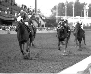 Military Hawk and jockey Luis Jauregui win the 1991 Seattle Handicap over Erin's Lord as horses trained by Larry Ross finished first and second.