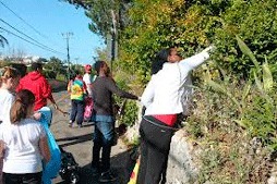 Volunteers are wanted to help pick up litter Saturday