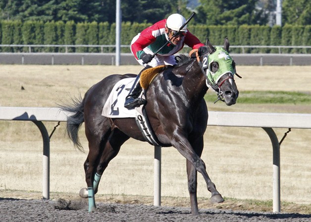 Hayjax and jockey Antonio L. Gutierrez teamed for a 1-½ length triumph in the $17