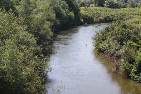 The King County Flood Control District oversees Green River levee repairs and plans to initiate a system-wide program.