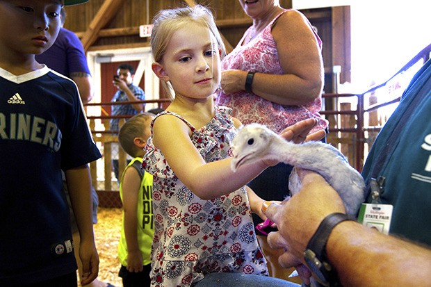 The Washington State Fair