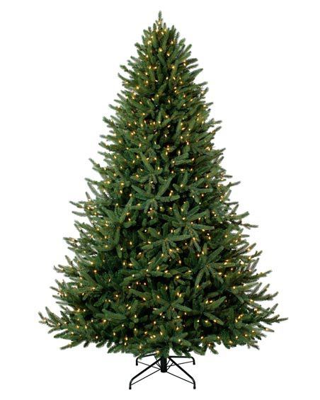 Check out a few buying and safety tips for Christmas trees from the Kent Fire Department.