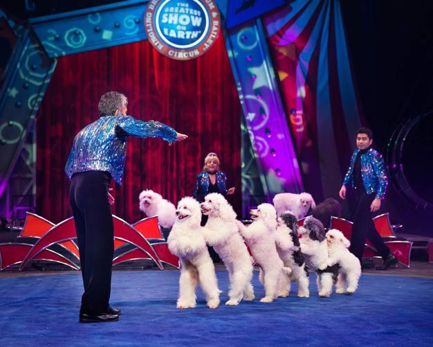 Dancing dogs are just part of the Ringling Bros. and Barnum & Bailey Circus “Built to Amaze” show coming Sept. 24-27 to Kent at the ShoWare Center. Tickets are on sale.