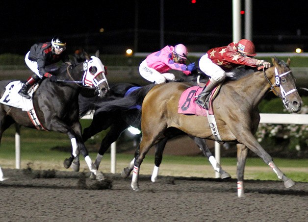 7-year-old Olympic Lights and leading rider Leslie Mawing rally for a 1-1/4 length victory in the $11