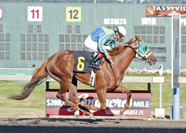 Marquetching and jockey Pedro Terrero cross the wire with a 1-½ length victory Saturday in the feature race for 3-year-olds