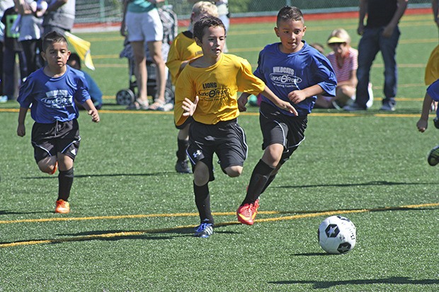 The 7-U Lions’ Mason Morey dribbles the ball up the field with a pack of Wildcats in pursuit during the season-opening Youth Soccer Jamboree at the refurbished Wilson Playfields last Saturday.