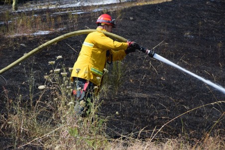 A firefighter extinguishes a brush fire.