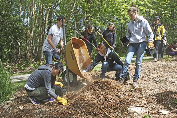 Students go to work