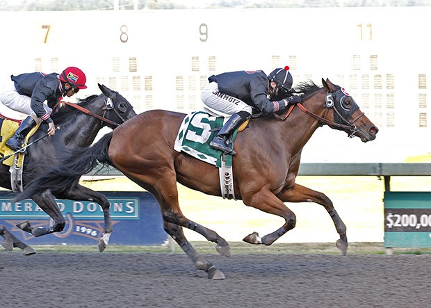 Northwest Farms' & Debbie Paxton's Goin to the Window