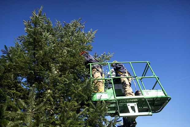 Kent Parks Department employees Adam Baker