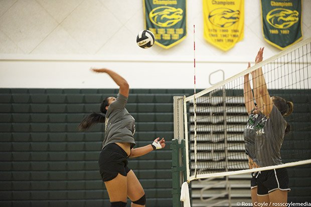 Faith Faamausili works on her hitting skills for Green River Community College.