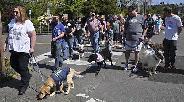 Dozens of people and their four-legged companions took to the streets of downtown Kent last year for the inaugural Pampered Pet Walk. This year's event is set to kick off at 1 p.m. Saturday