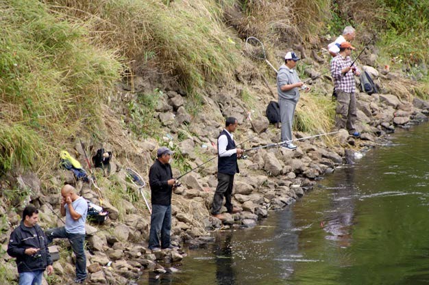 Fishermen line the banks of the Green River in Kent on Wednesday morning near the Meeker Street Bridge.