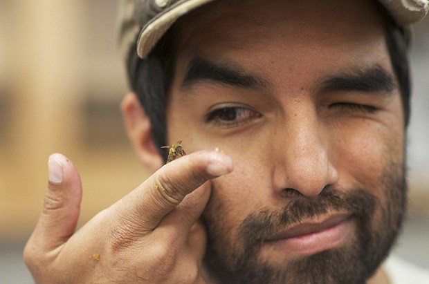 What’s all the buzz? Staff photographer and reporter Ross Coyle’s award-winning photo captured Danny Najera and his dedication to the study of the complexity of honeybees.