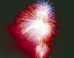 Make sure to protect your pets from the loud sounds of fireworks this Fourth of July.