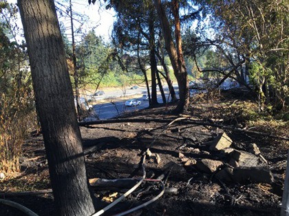 Area firefighters beat back a brush fire along southbound Interstate 5 on Wednesday. As crews doused the fire