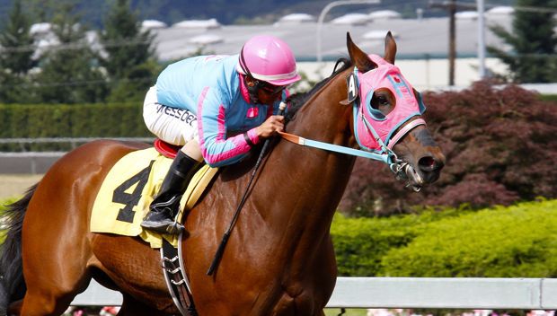 Memphis Mobster cruises to a 3 3/4-length victory in Saturday's feature race for 3-year-olds and up at Emerald Downs. Leslie Mawing rode the 7-year-old gelding for trainer Doris Harwood and owners Michael Pollowitz and Jeff Wilson.