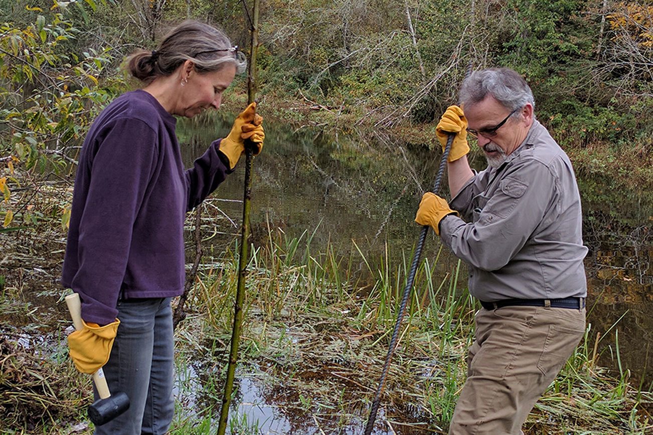 Green River College awarded EPA environmental education grant