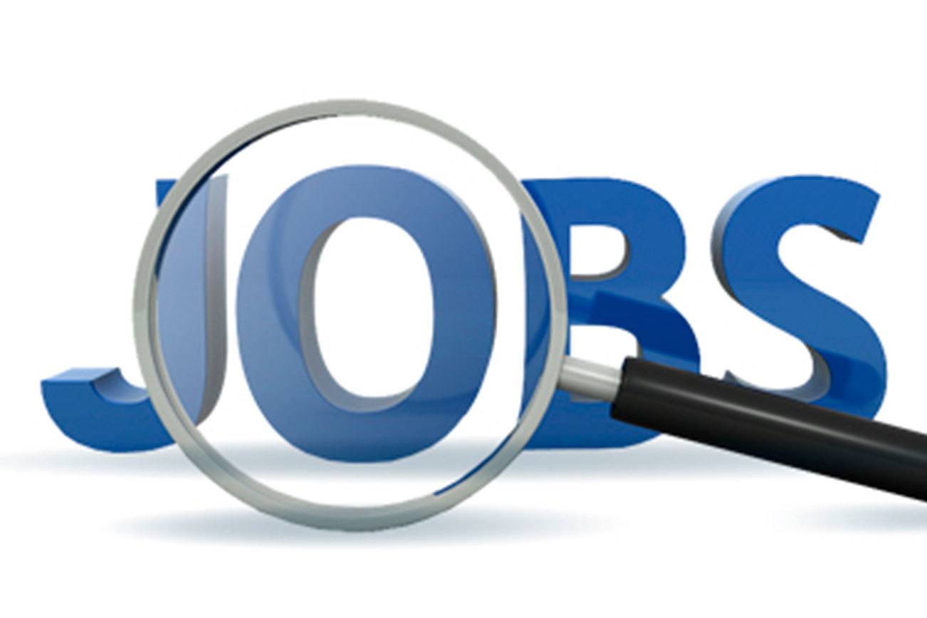 Vacancy. Job vacancy. Job PNG. Vacancy and jobs logo. Job vacancy PNG.