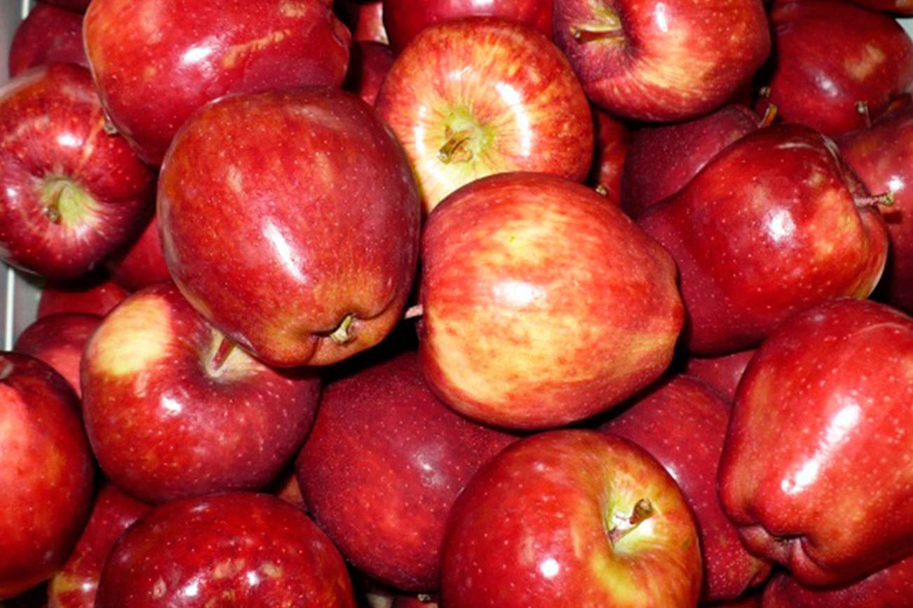 Washington apples making a comeback | Brunell