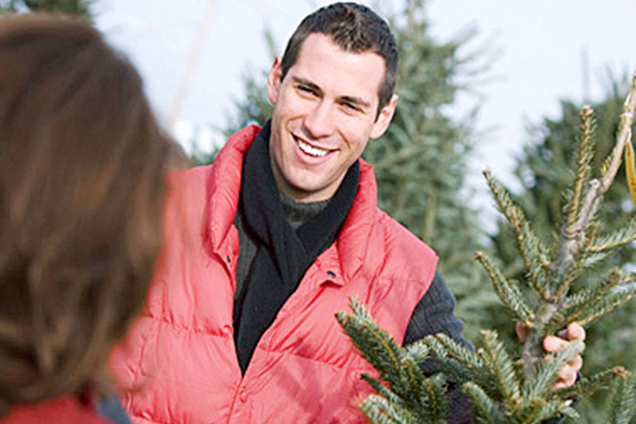 Kent Boy Scout troops to pick up Christmas trees Jan. 7 ...