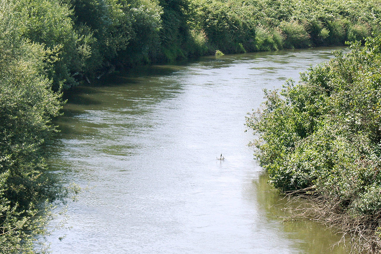 King County Flood District accepting applications for flood reduction grant program