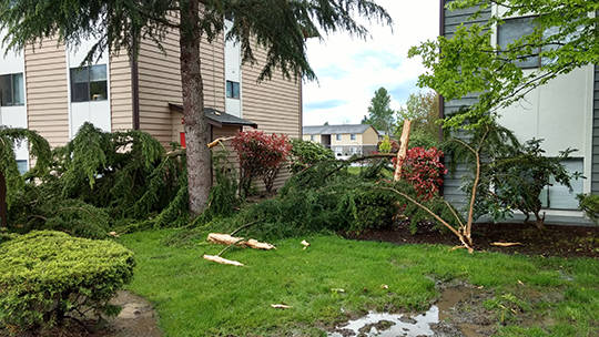 Thunderstorm zaps Kent area