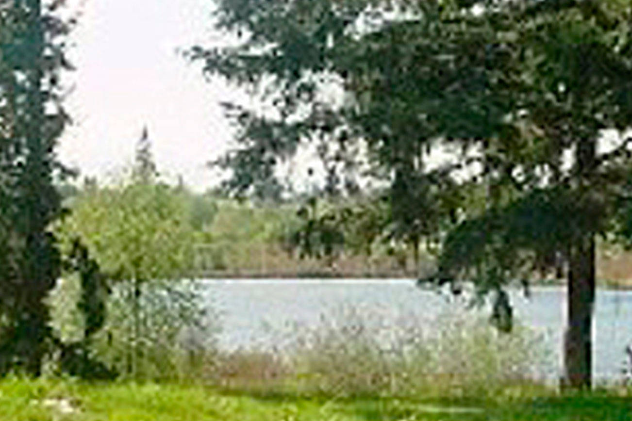 Kent’s Clark Lake Park closes after bear sighting