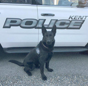 Kent Police Add New Dog 