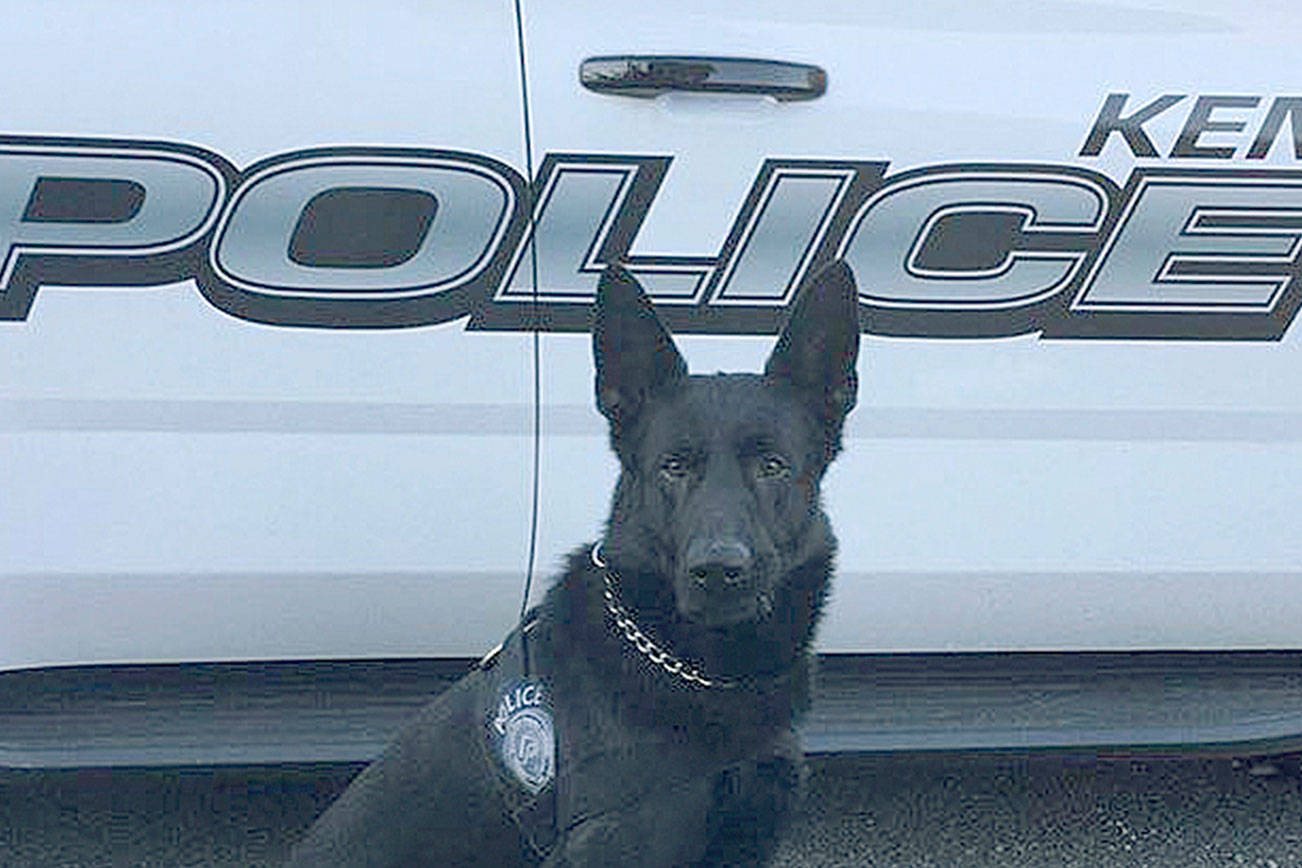 Kent Police add new dog