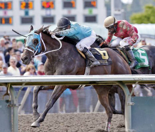 Mach One Rules in the Budweiser Stakes | Emerald Downs