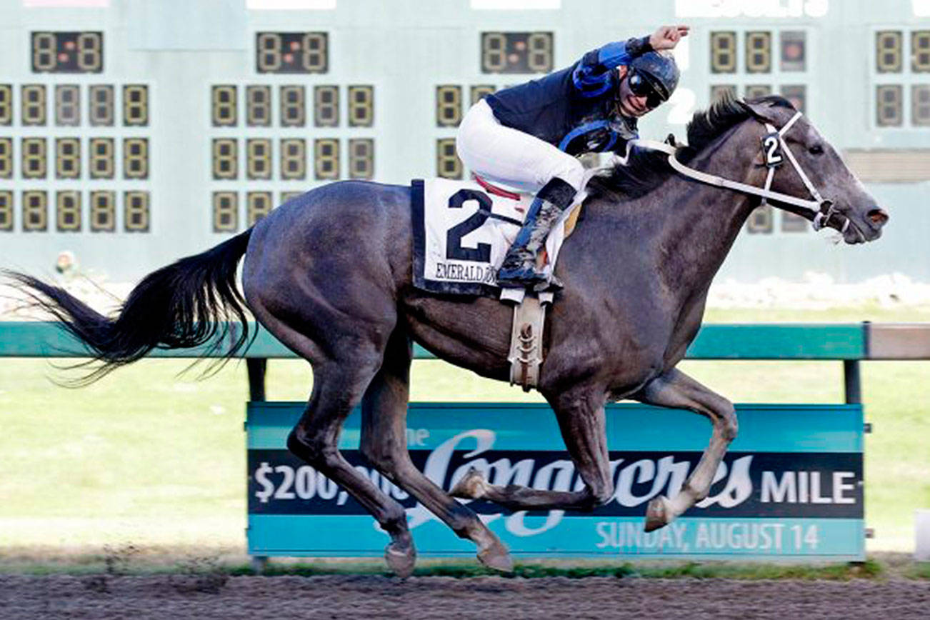 $75,000 Washington Oaks goes to the post Sunday | Emerald Downs