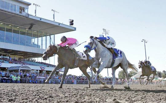 Aqua Frio edges stablemate in Seattle Slew Stakes | Emerald Downs