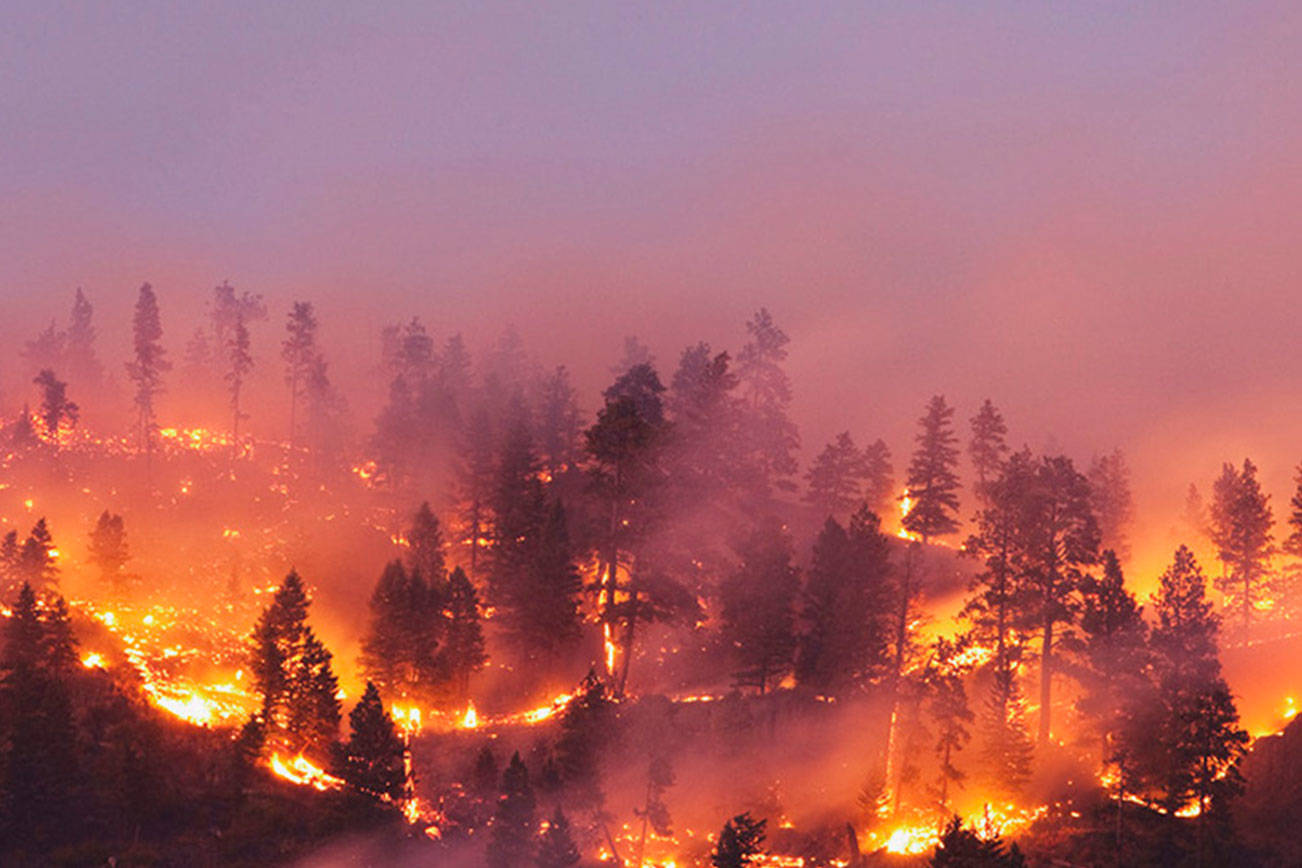 Smoke from wildfires fills Kent skies