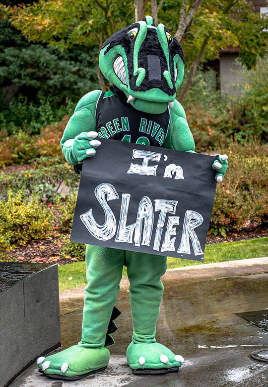 Slater the Gator ready to roam as new mascot at Green River College