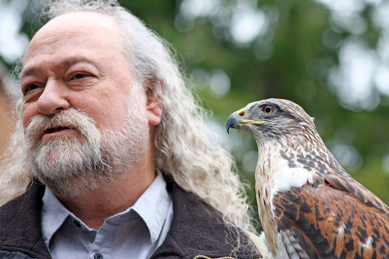 Talon tale: largest hawk in North America featured at Wings of Fall program