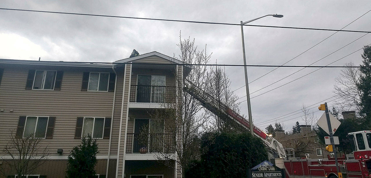 Firefighters put out a fire Tuesday at the Scenic Vista Senior Apartments on the East Hill. COURTESY PHOTO, Puget Sound Fire