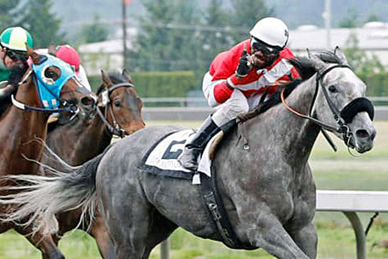 Ima Happy Cat prevails in $50,000 Seattle Stakes