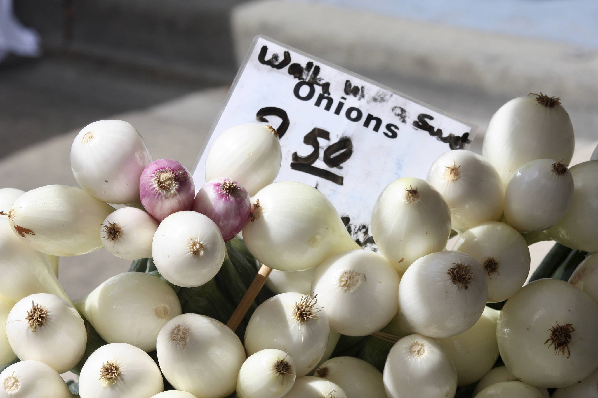 Farmers market opens