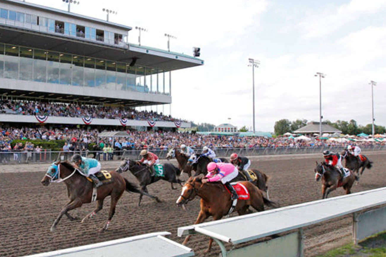 $50,000 Budweiser Stakes second stop on road to Longacres Mile