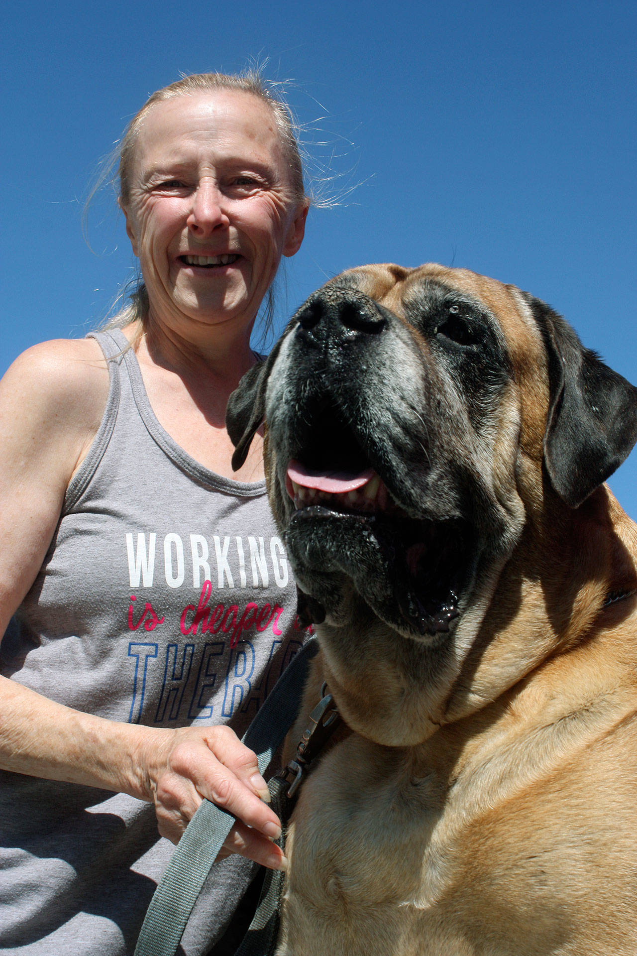 ois Bax, of Kent, and her dog, Leo, an 8-year-old, 164-pound Mastiff, take in the crowd for the Dog Daze and Feline Fantasies Pet Adoption Event at Kent Station last Saturday. Bax rescued Leo three years ago. They enjoy the opportunity to get out and mingle at public events. MARK KLAAS, Kent Reporter