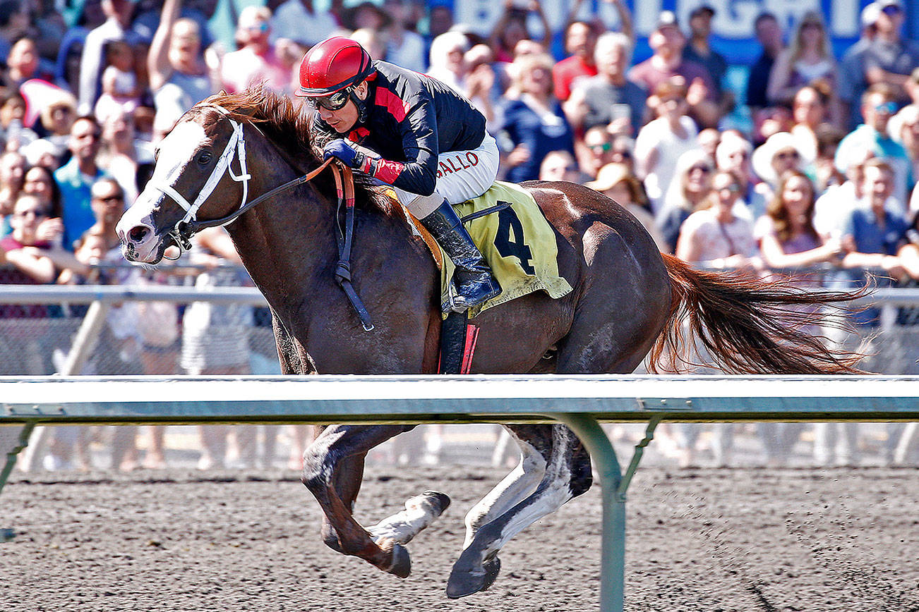 Strong six pack ready to roll in $200,000 Longacres Mile