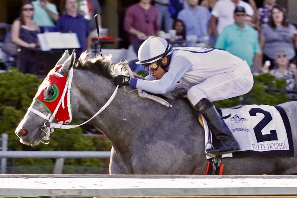 Fuzzy Dolphin goes gate to wire to capture Washington Cup Juvenile