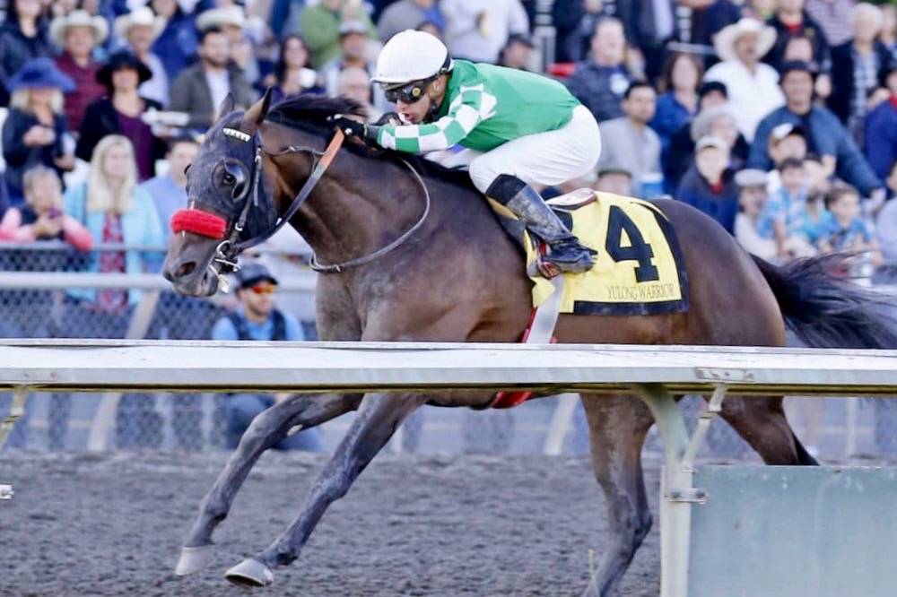 Yulong Warrior and Evin Roman race to victory in the $100,000 Getaway Day Stakes for 3-year-olds on Sunday at Emerald Downs. COURTESY PHOTO